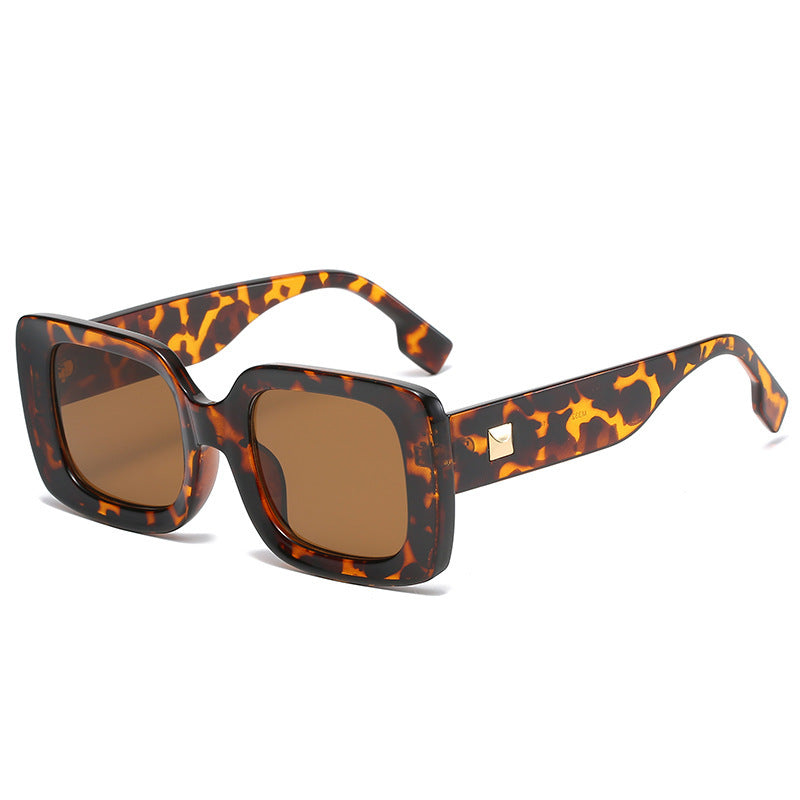 Large Frame Sunglasses